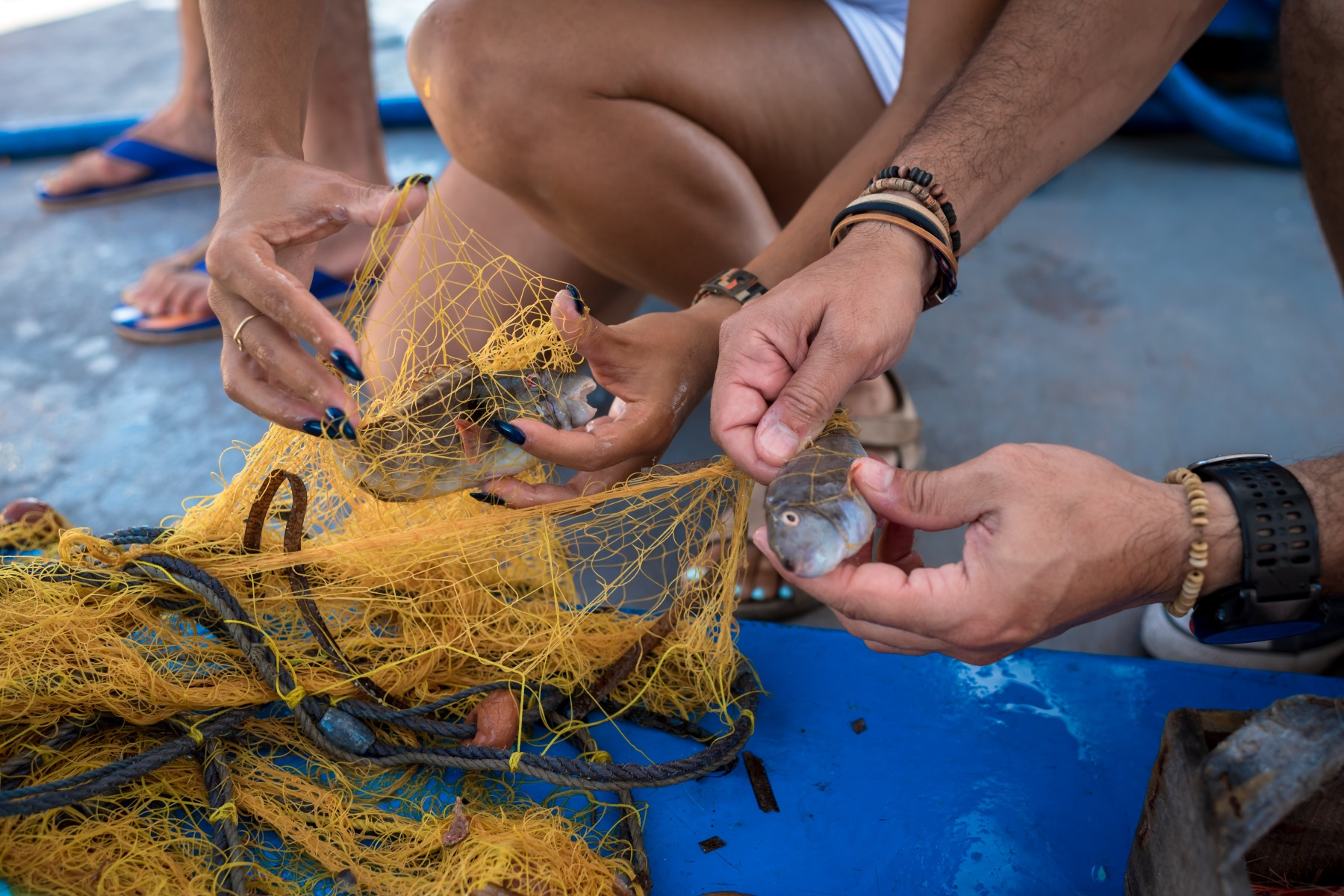 Private Greek Traditional Fishing Tour – Morning (GF)