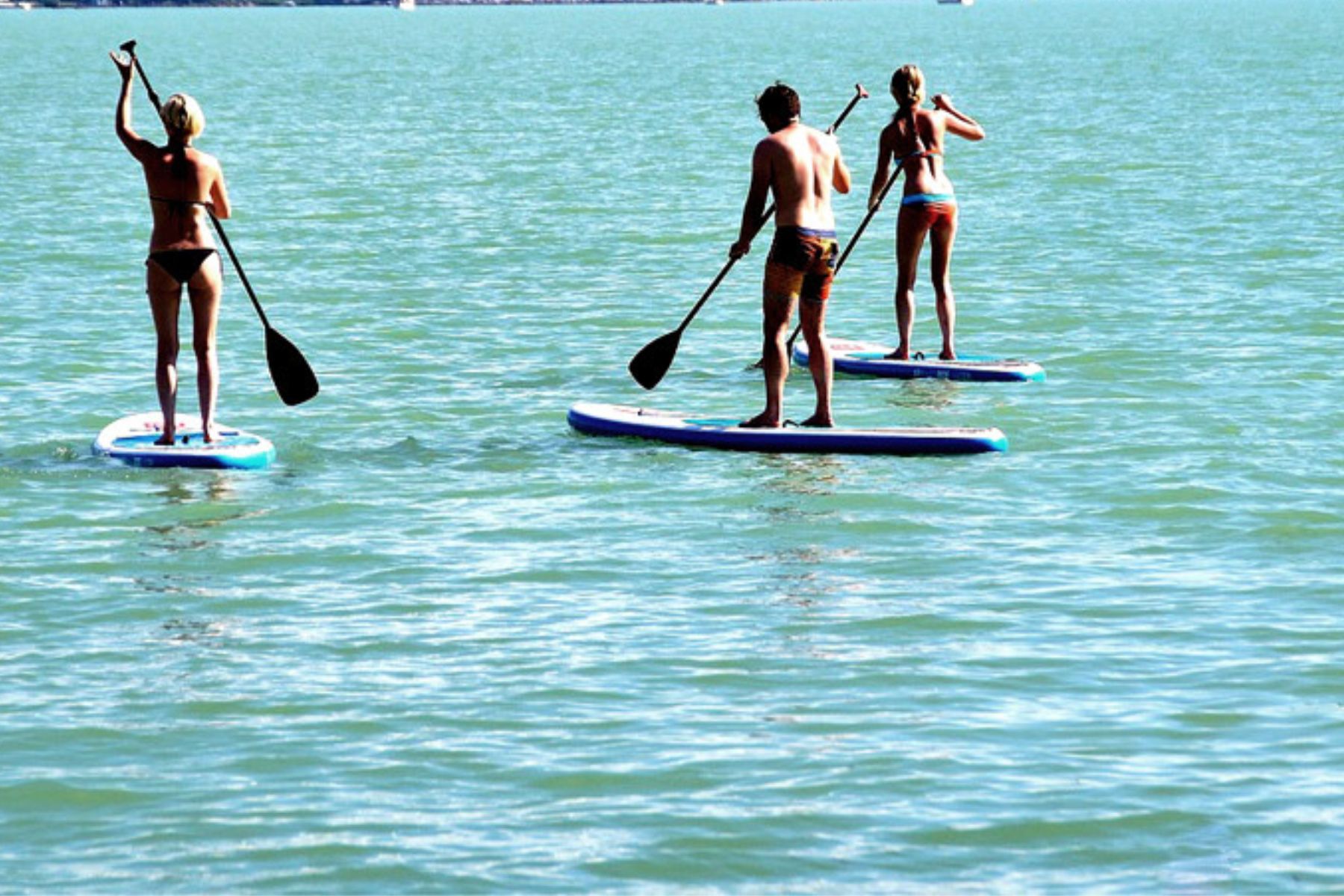 SUP – STAND UP PADDLEBOARD  (WS)